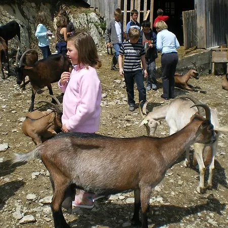Séjour à la ferme La Ferme Du Petit Mont *