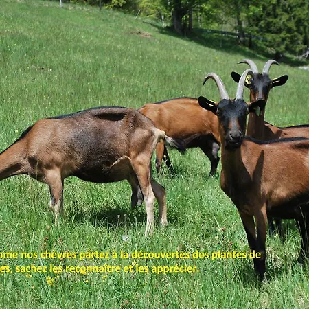 La Ferme Du Petit Mont *